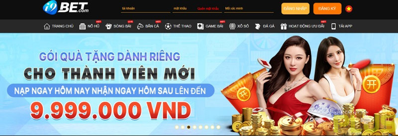 Sơ Lược Về Nhà Cái i9Bet - Nhà cái uy tín Plus