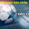 Cách cược kèo chấp bóng đá 100% thắng nhà cái